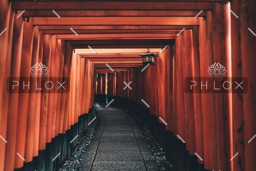 demo-attachment-58-tianshu-liu-395929-unsplash